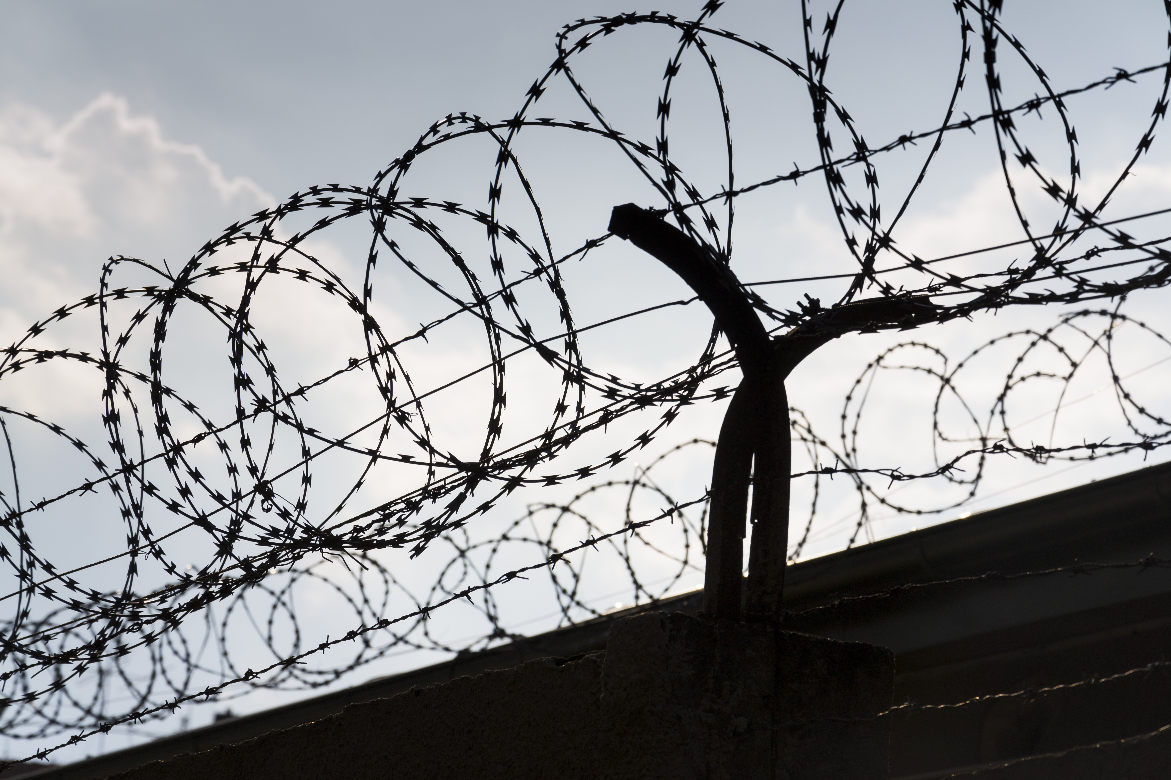 Uncounted no more: How D. Pulane Lucas is creating a system of accountability and empowering citizens to report in-custody deaths